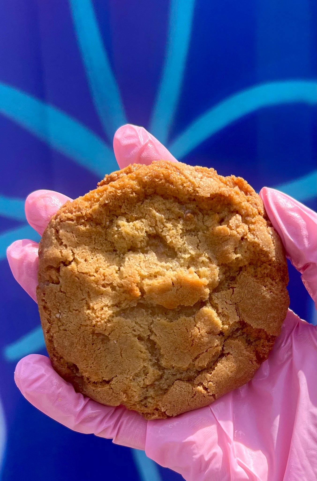 gourmet edibles