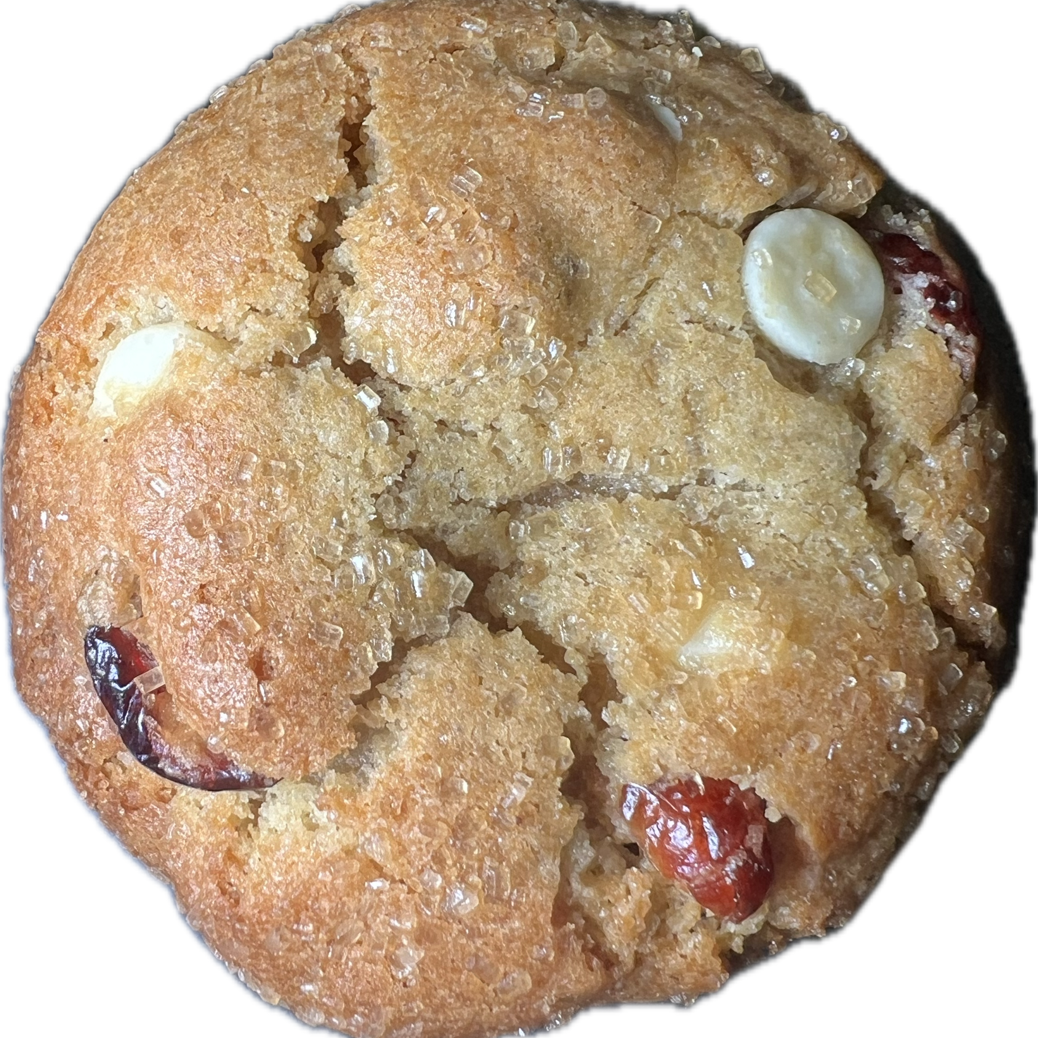 Cranberry Orange Cookie